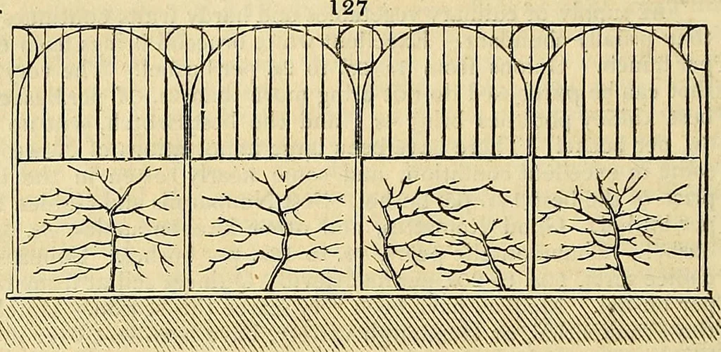 An illustration from The gardener's magazine and register of rural & domestic improvement, 1826, leaf 376