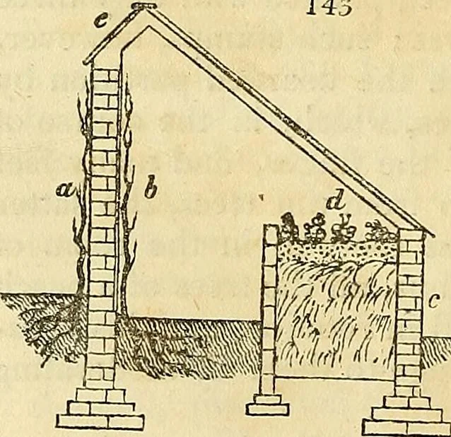 An illustration from The gardener's magazine and register of rural & domestic improvement, 1826, leaf 408