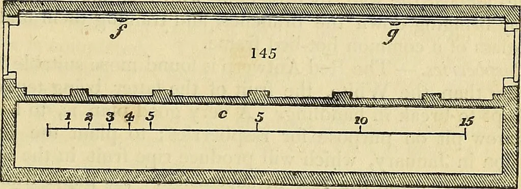 An illustration from The gardener's magazine and register of rural & domestic improvement, 1826, leaf 409