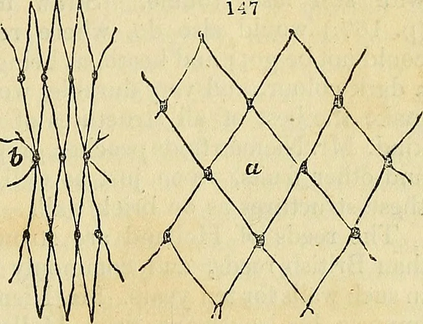 An illustration from The gardener's magazine and register of rural & domestic improvement, 1826, leaf 411