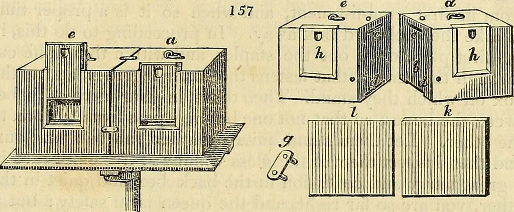 An illustration from The gardener's magazine and register of rural & domestic improvement, 1826, leaf 429