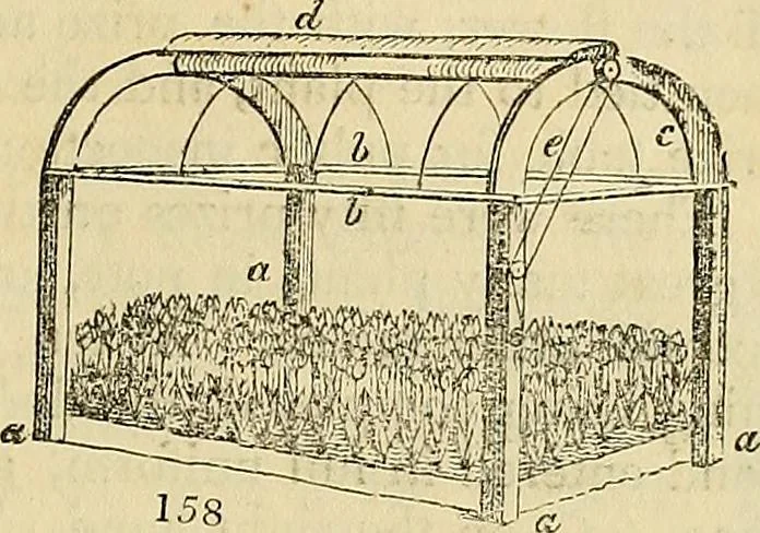 An illustration from The gardener's magazine and register of rural & domestic improvement, 1826, leaf 433