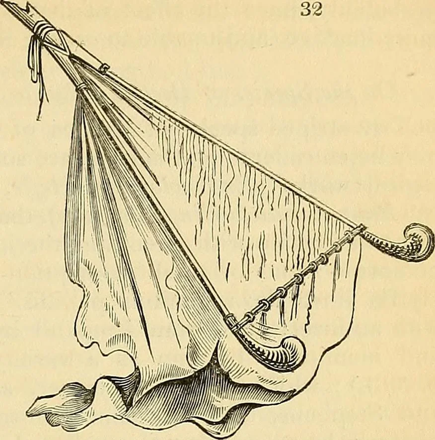 An illustration from The gardener's magazine and register of rural & domestic improvement, 1826, leaf 129