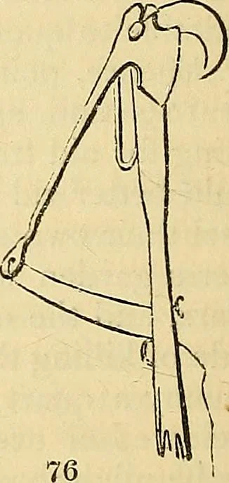 An illustration from The gardener's magazine and register of rural & domestic improvement, 1826, leaf 222