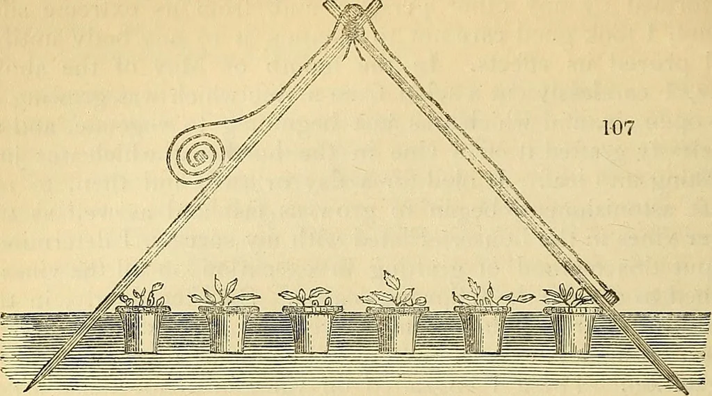 An illustration from The gardener's magazine and register of rural & domestic improvement, 1826, leaf 330