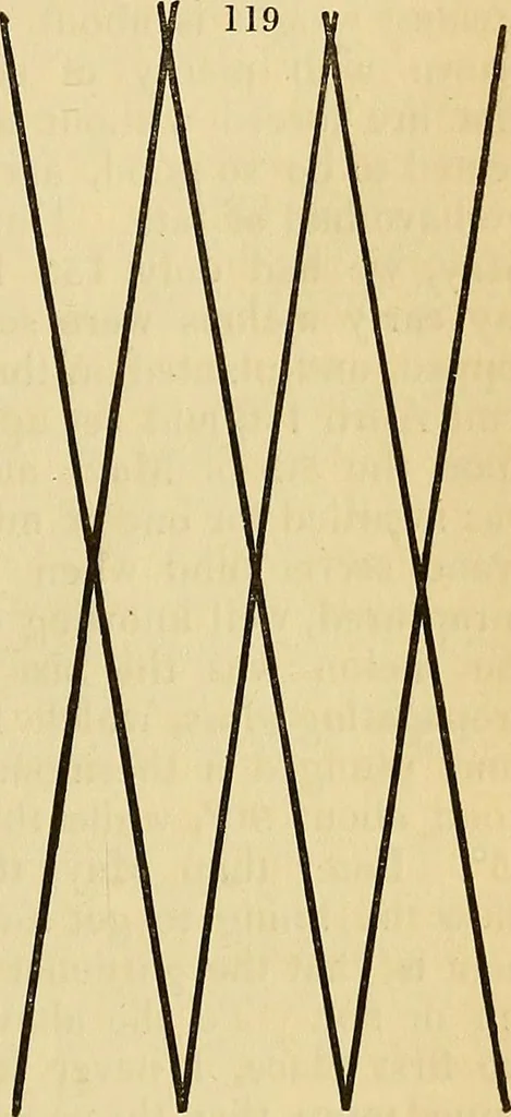 An illustration from The gardener's magazine and register of rural & domestic improvement, 1826, leaf 469