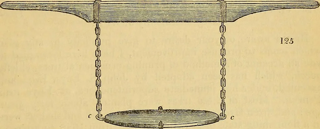 An illustration from The gardener's magazine and register of rural & domestic improvement, 1826, leaf 517