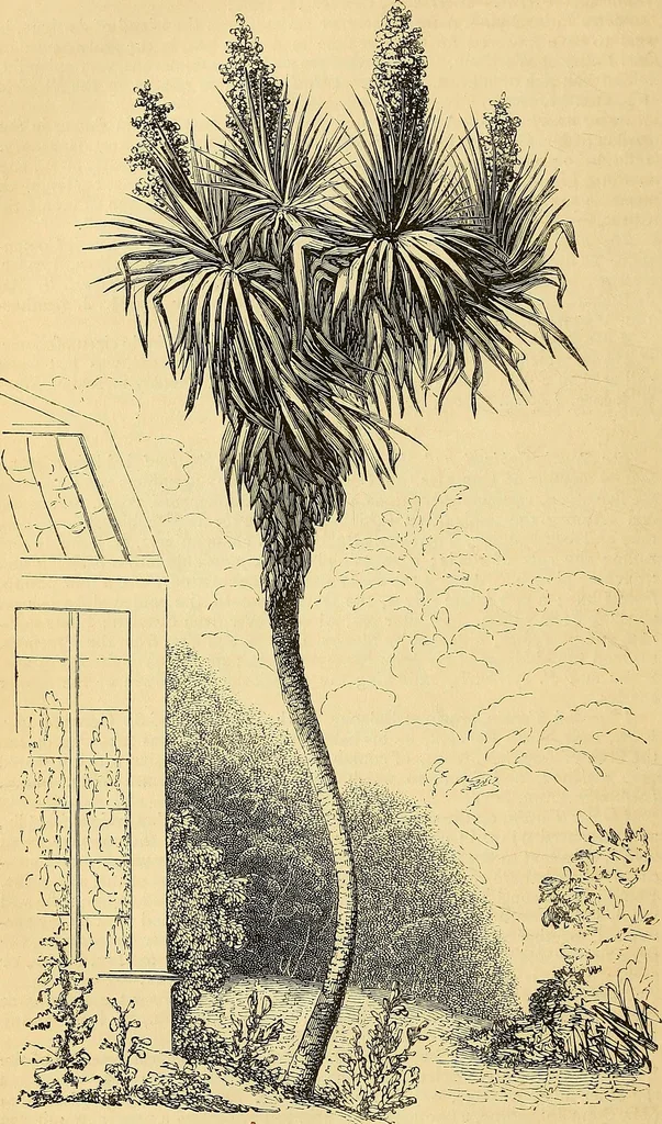 An illustration from The gardener's magazine and register of rural & domestic improvement, 1826, leaf 644