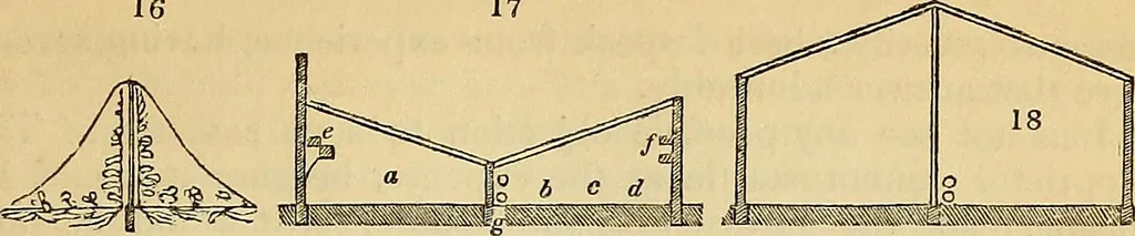 An illustration from The gardener's magazine and register of rural & domestic improvement, 1826, leaf 149