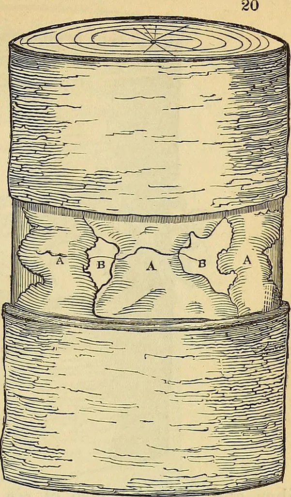An illustration from The gardener's magazine and register of rural & domestic improvement, 1826, leaf 187