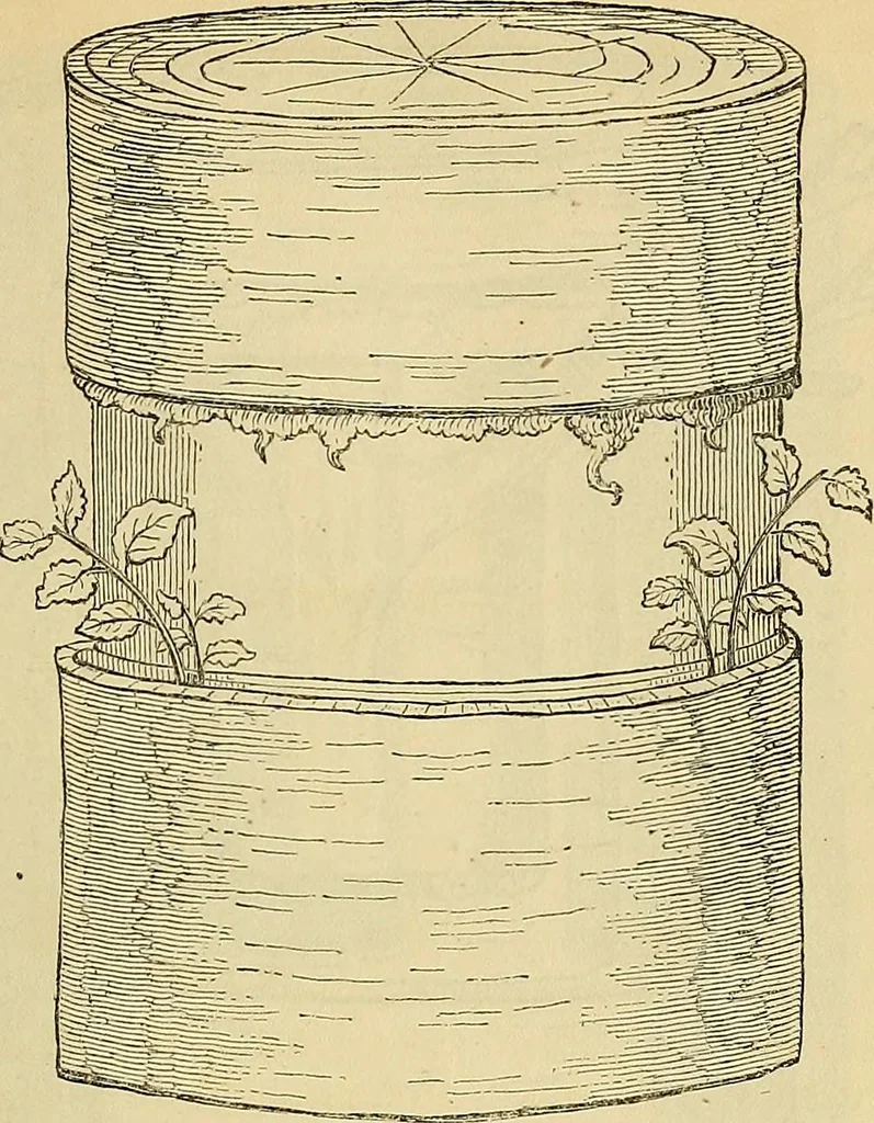 An illustration from The gardener's magazine and register of rural & domestic improvement, 1826, leaf 189