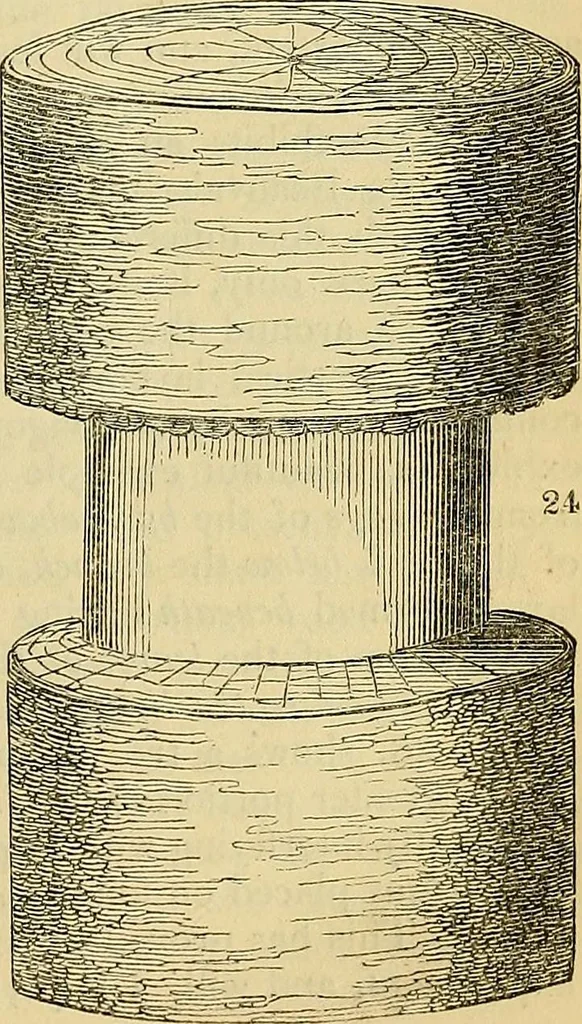 An illustration from The gardener's magazine and register of rural & domestic improvement, 1826, leaf 189