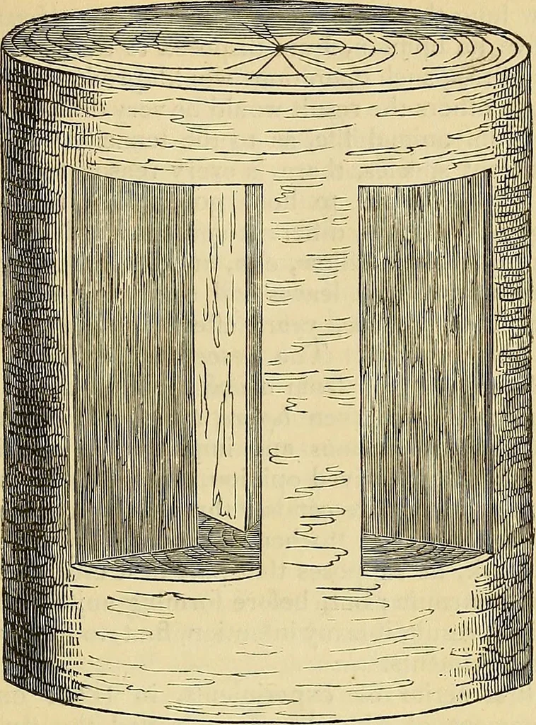 An illustration from The gardener's magazine and register of rural & domestic improvement, 1826, leaf 191