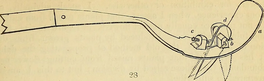 An illustration from The gardener's magazine and register of rural & domestic improvement, 1826, leaf 201