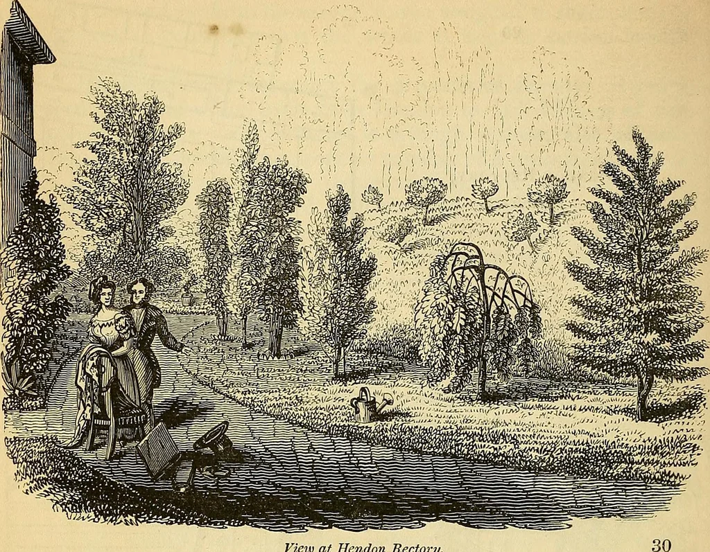 An illustration from The gardener's magazine and register of rural & domestic improvement, 1826, leaf 248