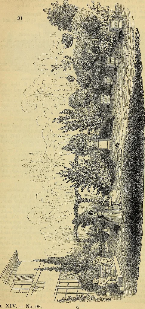 An illustration from The gardener's magazine and register of rural & domestic improvement, 1826, leaf 249