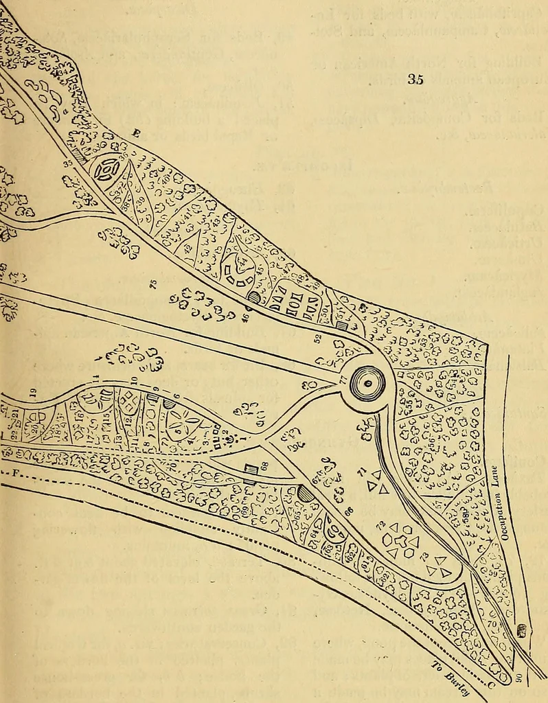 An illustration from The gardener's magazine and register of rural & domestic improvement, 1826, leaf 267