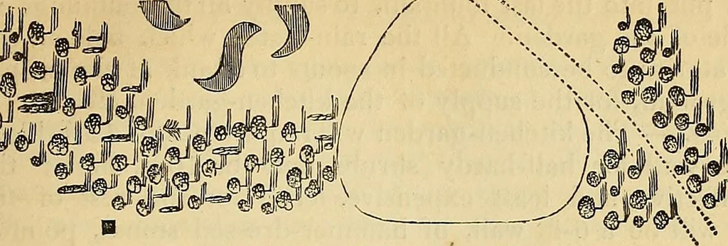 An illustration from The gardener's magazine and register of rural & domestic improvement, 1826, leaf 271