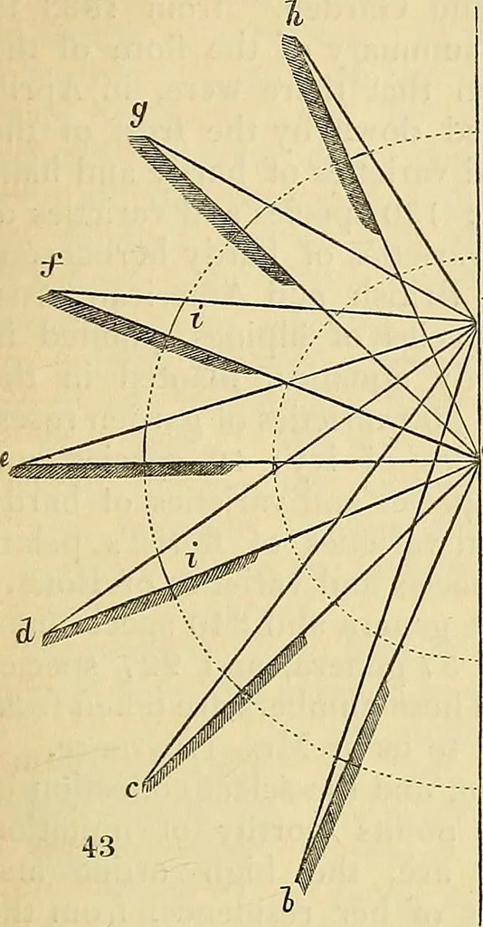 An illustration from The gardener's magazine and register of rural & domestic improvement, 1826, leaf 333