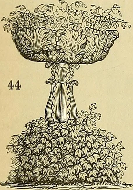An illustration from The gardener's magazine and register of rural & domestic improvement, 1826, leaf 335