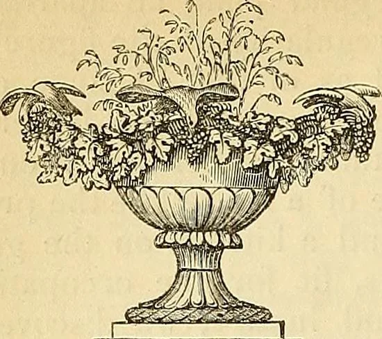 An illustration from The gardener's magazine and register of rural & domestic improvement, 1826, leaf 336