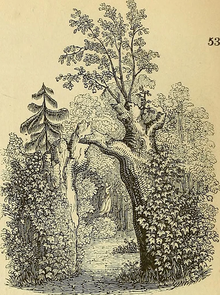 An illustration from The gardener's magazine and register of rural & domestic improvement, 1826, leaf 340