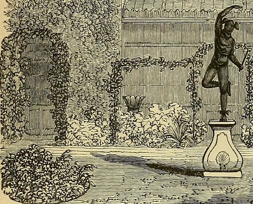 An illustration from The gardener's magazine and register of rural & domestic improvement, 1826, leaf 341