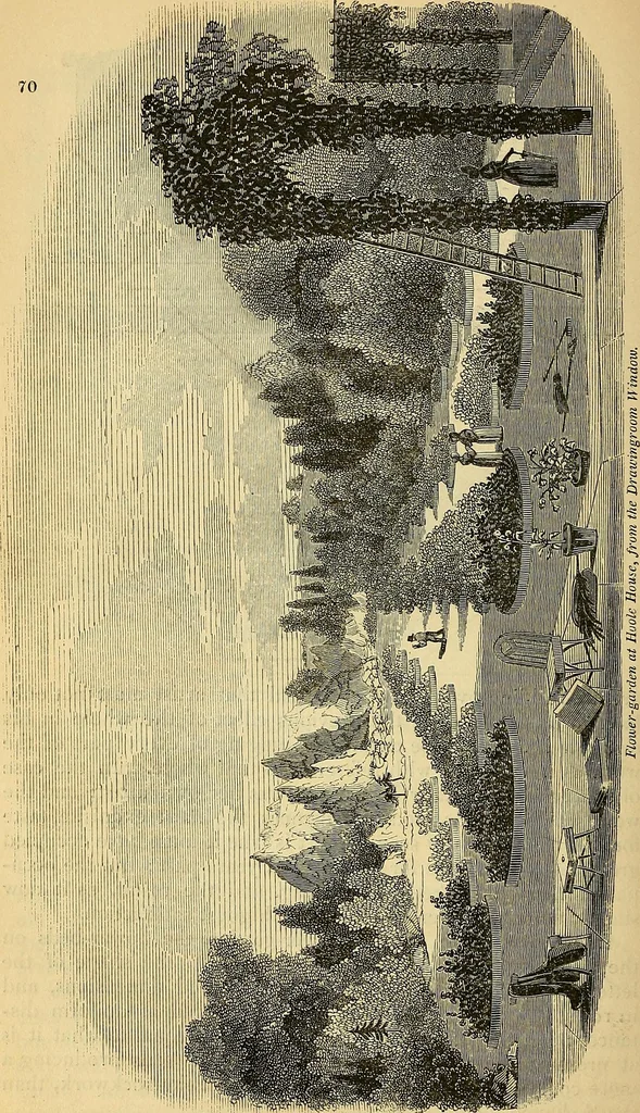 An illustration from The gardener's magazine and register of rural & domestic improvement, 1826, leaf 384