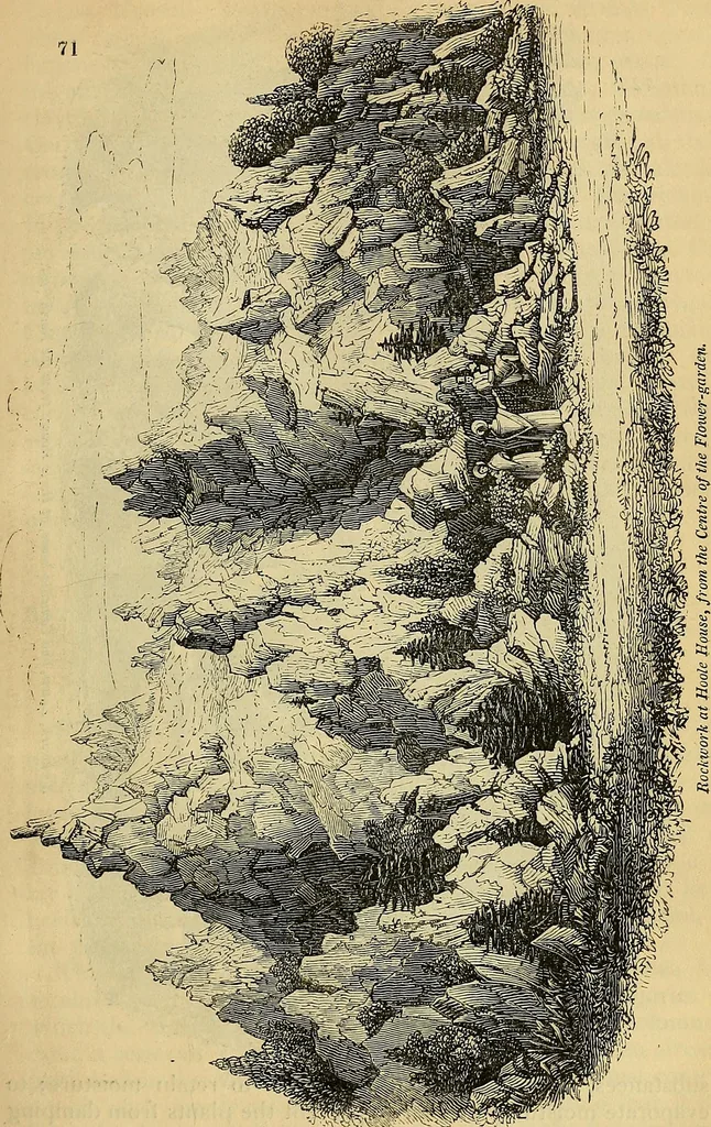 An illustration from The gardener's magazine and register of rural & domestic improvement, 1826, leaf 385