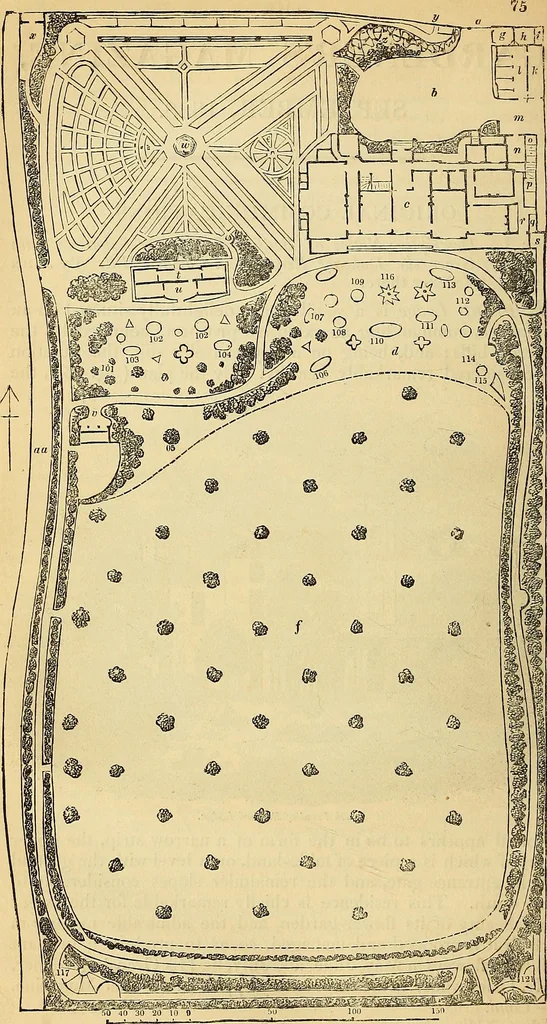 An illustration from The gardener's magazine and register of rural & domestic improvement, 1826, leaf 426