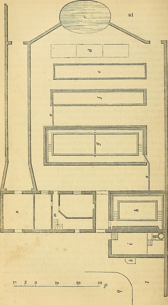 An illustration from The gardener's magazine and register of rural & domestic improvement, 1826, leaf 444