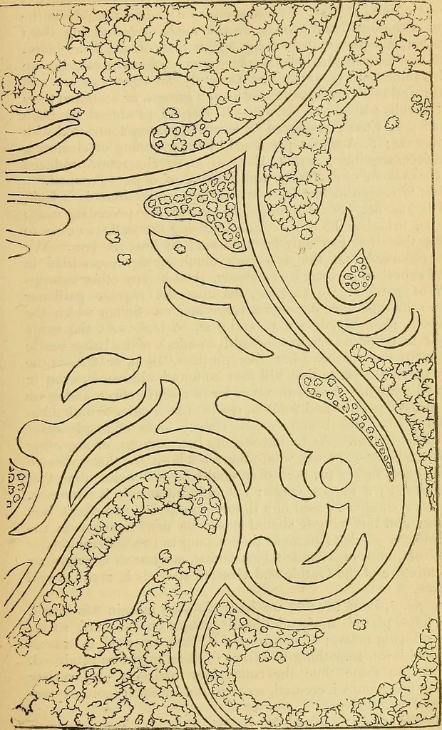 An illustration from The gardener's magazine and register of rural & domestic improvement, 1826, leaf 47