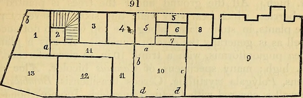An illustration from The gardener's magazine and register of rural & domestic improvement, 1826, leaf 475