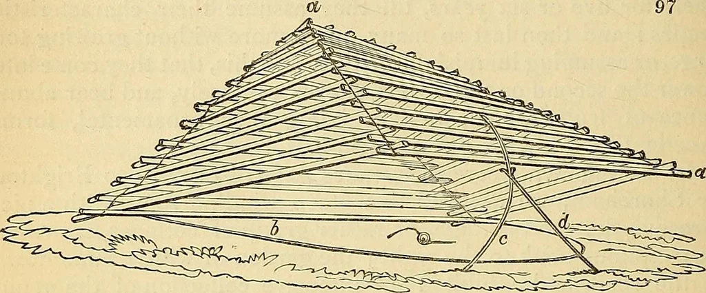 An illustration from The gardener's magazine and register of rural & domestic improvement, 1826, leaf 528