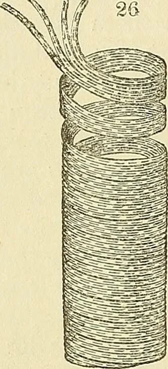 An illustration from The gardener's magazine and register of rural & domestic improvement, 1826, leaf 144