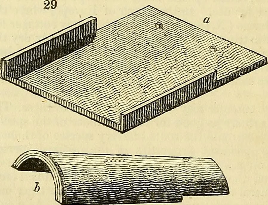 An illustration from The gardener's magazine and register of rural & domestic improvement, 1826, leaf 166