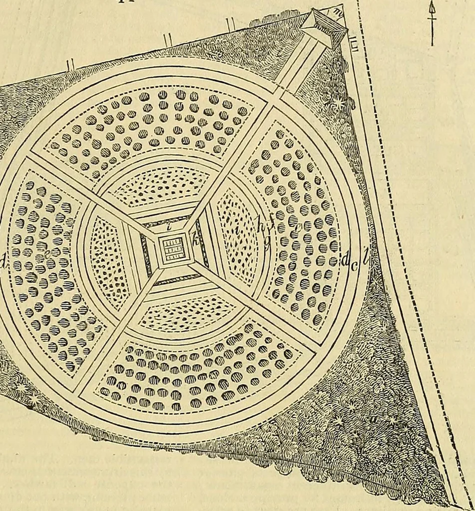 An illustration from The gardener's magazine and register of rural & domestic improvement, 1826, leaf 261