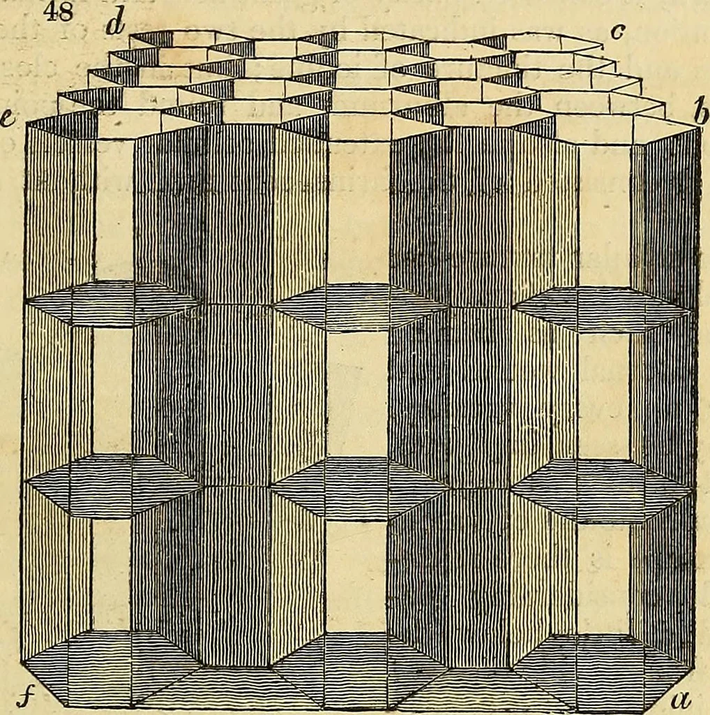 An illustration from The gardener's magazine and register of rural & domestic improvement, 1826, leaf 271