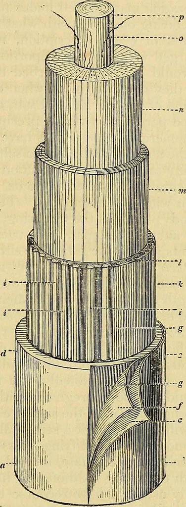An illustration from The gardener's magazine and register of rural & domestic improvement, 1826, leaf 29