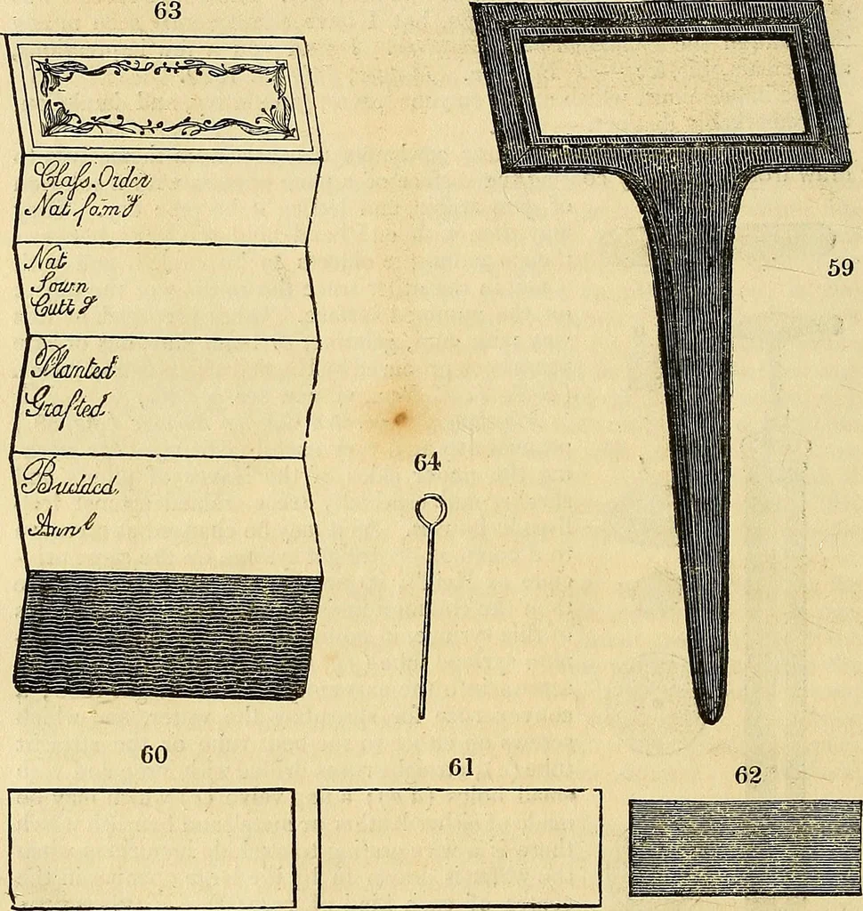 An illustration from The gardener's magazine and register of rural & domestic improvement, 1826, leaf 318