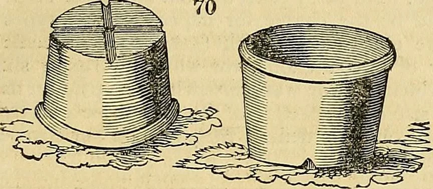 An illustration from The gardener's magazine and register of rural & domestic improvement, 1826, leaf 321