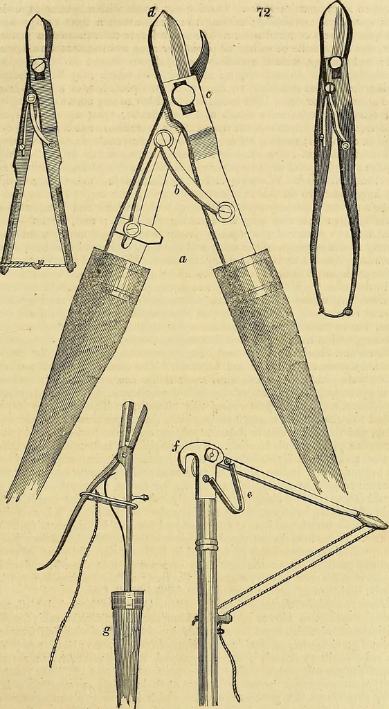 An illustration from The gardener's magazine and register of rural & domestic improvement, 1826, leaf 325