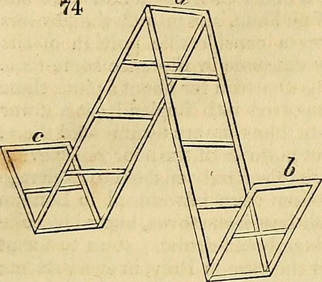 An illustration from The gardener's magazine and register of rural & domestic improvement, 1826, leaf 331