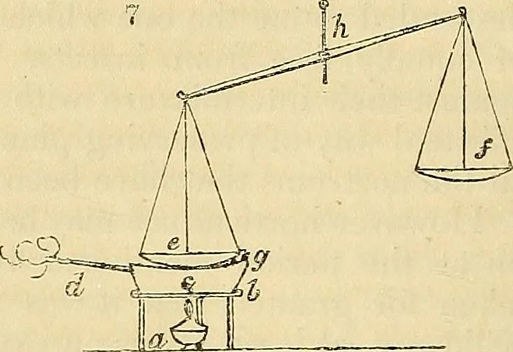 An illustration from The gardener's magazine and register of rural & domestic improvement, 1826, leaf 40