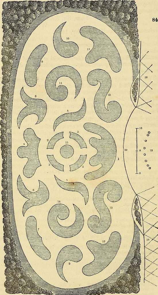 An illustration from The gardener's magazine and register of rural & domestic improvement, 1826, leaf 436
