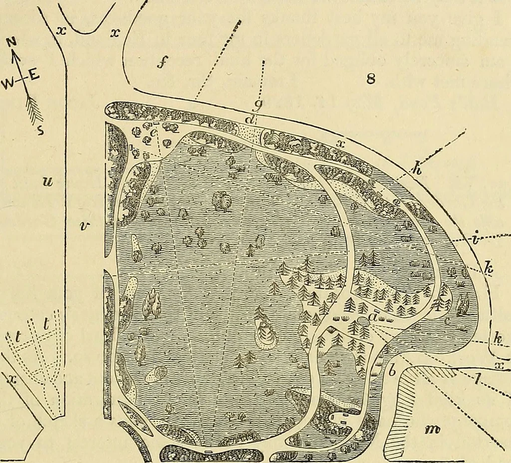 An illustration from The gardener's magazine and register of rural & domestic improvement, 1826, leaf 45