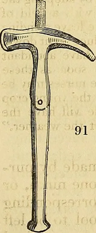 An illustration from The gardener's magazine and register of rural & domestic improvement, 1826, leaf 481