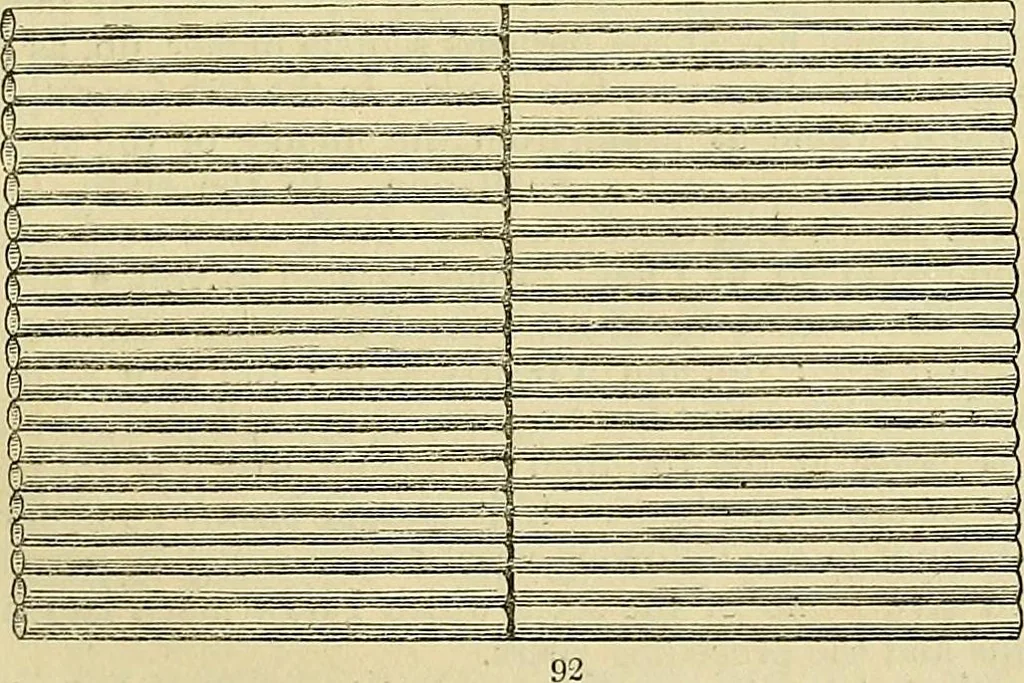 An illustration from The gardener's magazine and register of rural & domestic improvement, 1826, leaf 503