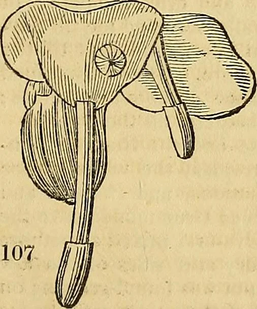 An illustration from The gardener's magazine and register of rural & domestic improvement, 1826, leaf 579