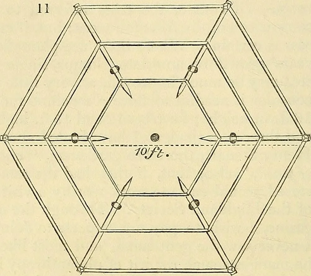 An illustration from The gardener's magazine and register of rural & domestic improvement, 1826, leaf 60